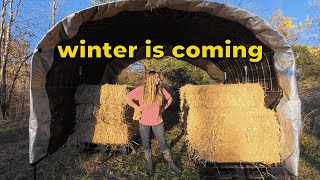 Winter Is Coming | Storing Dahlias, Straw & Canning Dry Beans