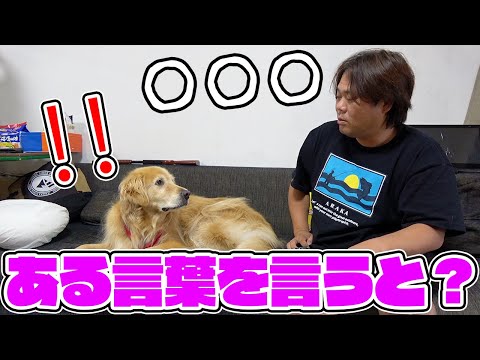 とある言葉に反応するまるくんがかわいすぎた！！