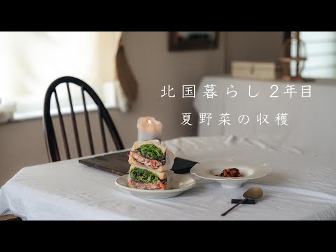 夢だった畑で夏野菜の収穫。ラタトゥイユとサンドイッチ作り | 暮らしのvlog