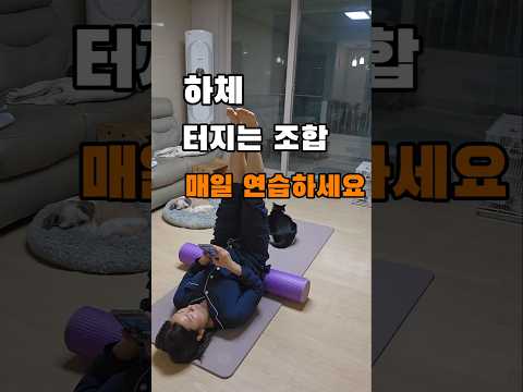 하체라인 싹 잡는 두 동작! 안벅지 + 고관절 자극 루틴(매일 연습하면 탄탄함이 달라져요)#내전근#고관절운동#고관절스트레칭#골반교정#하체운동#shorts