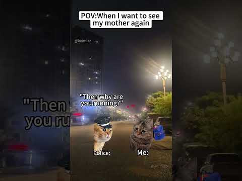CAT MEMES🐱When I want to see my mother again #catmemes #memes #funnymemes #funny #foryou