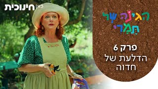 הגינה של תמרי 🌸 | פרק 6 - הדלעת של חדוה