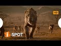 Trailer 5 do filme The Lion King