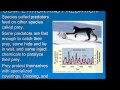 Mutualism, Competition, and Adaptation in Ecology