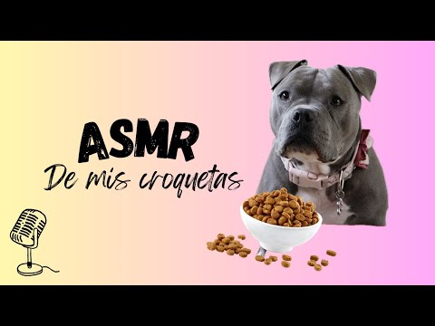 ASMR DE MIS CROQUETACIONES