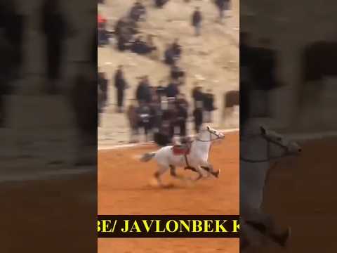 Лошади.Horse.Сavalo.Аттар.Красавчик.Запрыгнул на скаку на коня.