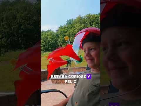 Rescuing a hummingbird suffering from heat stroke#animals #Friendship #Us#hummingbird