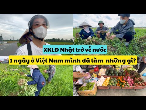 576 | XKLĐ Nhật Trở Về Nước - 1 Ngày Ở Việt Nam Mình Đã Làm Những Gì? | Đức Thư Vlogs