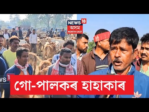 Sivsagar News | āĻŽā§āĻā§āϝāĻŽāύā§āϤā§ā§°ā§ā§ā§ āĻā§-āĻŽāĻžāĻāϏ āĻŦāύā§āϧ āĻā§āώāĻŖāĻž āĻā§°āĻžā§° āĻĒāĻŋāĻāϤ⧠āϞā§āĻāĻāĻžāύ⧰ āϏāύā§āĻŽā§āĻā§āύ āĻšā§āĻā§ āĻā§-āĻĒāĻžāϞāĻ | N18V