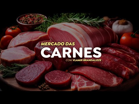 Exportações de carne bovina crescem e boi gordo deve valorizar nas próximas semanas