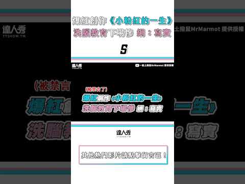 爆紅創作《小粉紅的一生》洗腦教育下場慘 網：寫實