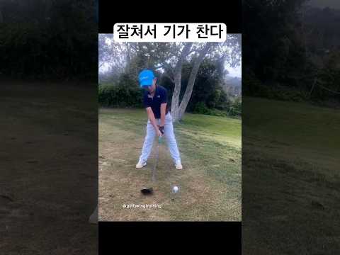 나 좀 가르쳐 줄래??? #golf #golfswing #골프 #골프연습 #골프레슨 #골프스윙 #드라이버스윙