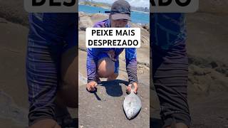 O PEIXE mais desprezado pelo pescadores #fishing #pescaria #viral #viralshort #viralshorts #fy #fyp