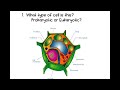 Prokaryotic vs Eukaryotic Cells: Key Concepts Review