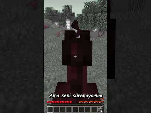 Minecraft AMA Renkleri Kontrol Edebilirsiniz 🌈