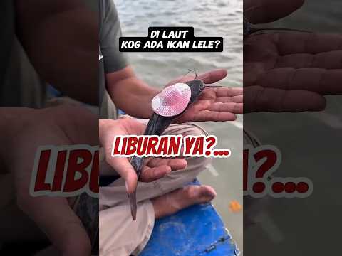 "Ikan kog ikut Liburan sih?!!!#short #ompedvisual #komedi #lucu