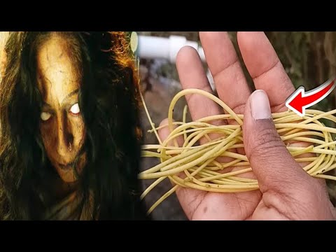अमरबेल का ये प्रयोग कोई नही बतायेगा//