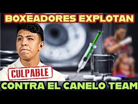 Figuras REACCIONAN a Munguia y Al Canelo Team LES LLUEVE SOBRE MOJADO
