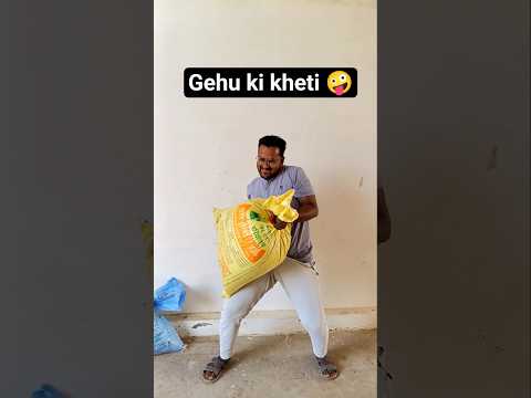 Tractor se gehu uga diya 🤗 #vlog #gehu #trending #familyvlog #villagelife #tractor #gehukikheti