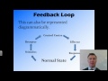 Stimulus Response Pathways and Homeostasis