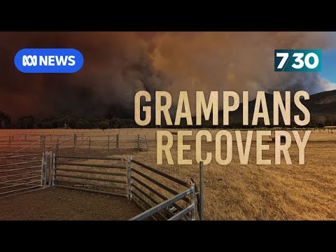 Grampians faces long recovery after bushfires | 7.30