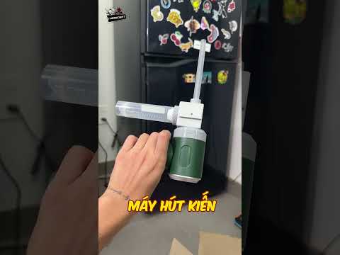 Mở Banh Tổ Kiến Mật ra để lau chùi #shorts