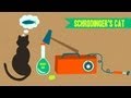 Understanding Schrodinger's Cat and Quantum Mechanics
