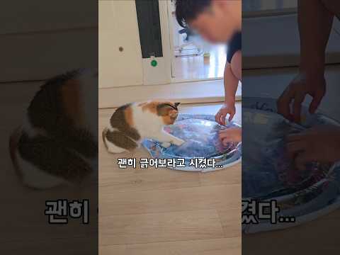 밤새도록 긁을 기세...