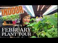 Indoor Gardening Challenges and Solutions