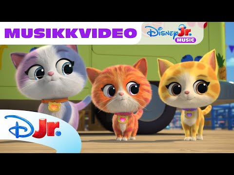 Morsomme sanger fra SuperKattungene | Disney Junior Norge