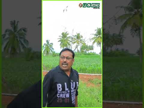 இங்கே 2000 எலுமிச்சை செடிகள் வெச்சிருக்கேன் | Devayani Rajakumaran Garden