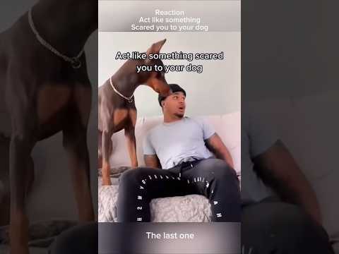 every day a joy 70 #funny #funnyvideo #funnyvideos #shorts #shortvideo #prank #pranks #prankvideo