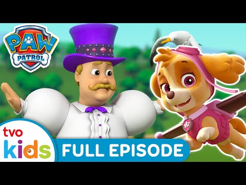 Pups Save a Puffy Mayor 🎩 | 🐾 PAW PATROL 🐶 | Rescue Dogs Help Save Day ⛑️ | Season 9 | TVOkids