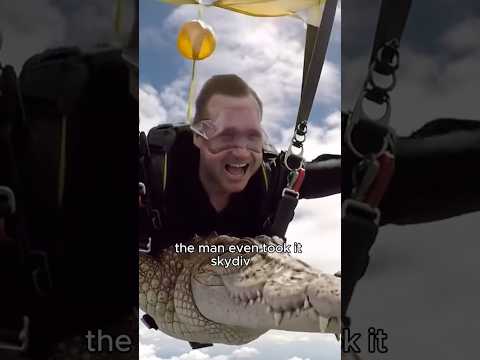 Take a crocodile gliding. #healing #animals #pets #crocodile #love #shortvideo #shorts