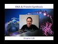 Molecular Biology Concepts Assessment
