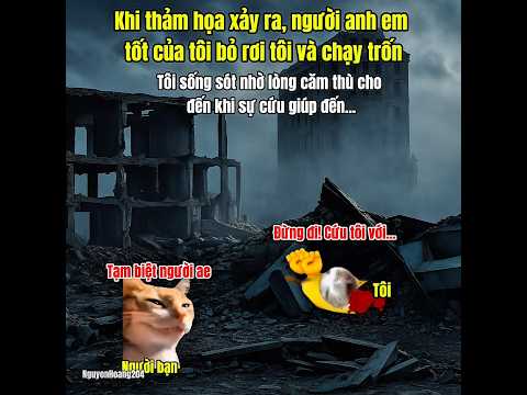 Tôi đã hiểu lầm người bạn tốt của tôi . #meme #catmeme