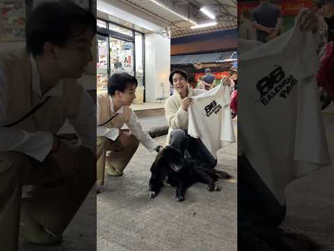 หนาวแล้วน้องหมาของคุณมีเสื้อรึยัง 🥶🧥#spdผู้ให้no1