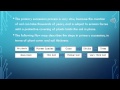 Ecosystem Succession Concepts