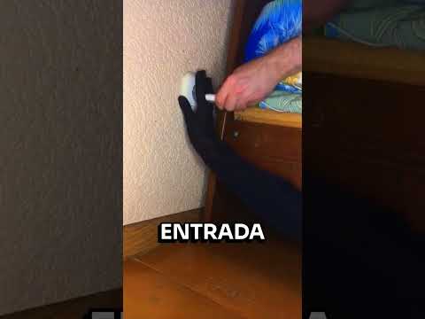 ISSO VAI TE DAR MEDO! #interessante #curiosidades #curiosidade