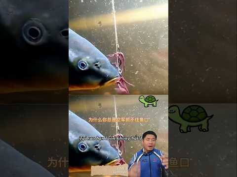 ตะขอเบ็ดสมัยใหม่ ติดลึกติดไว #ตกปลา #อุปกรณ์ตกปลา #fishing