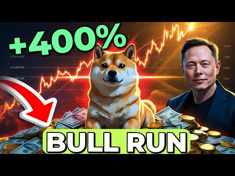 🚨 ELON MUSK PERMETTRA À LA CRYPTO DOGE D'EXPLOSER AU BULL RUN !? 🚀