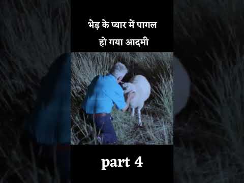 ये हर रोज भेड़ की इज्जत लूटता रहा  part 4