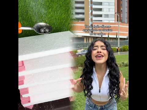 Qué es eso? #fyp #parati #therian