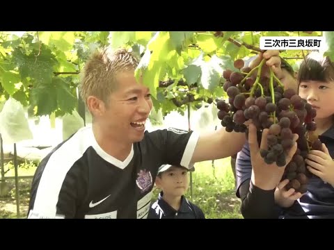 “黒い真珠”ジャンボピオーネの収穫「甘くておいしい!」三次市・広島 (2025/08/12 12:03)