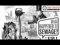 Cholera, Sewage, and Public Health