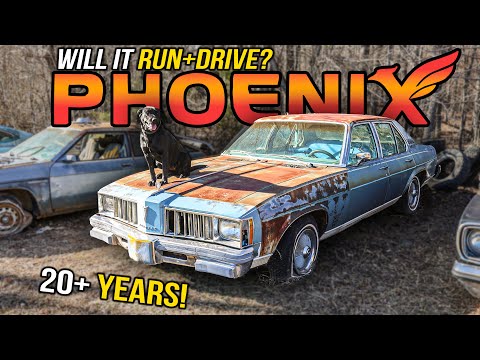 FORGOTTEN 20+ YEARS! Pontiac Phoenix - Will It RUN and DRIVE?