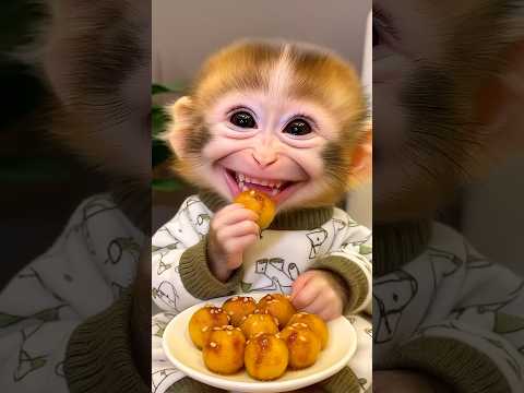 🐵 Cute Baby Monkey’s Snack Time | Sesame Treats Happiness!