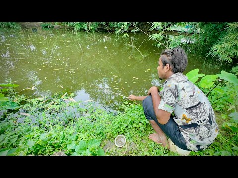 Best Fishing Video ✅|| expert fisherman boy fishing in the village canal using hooks | hook fishing