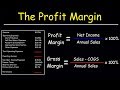 Understanding Profit Margins