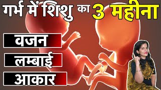 गर्भ में शिशु के विकास के लिए 3 महीने महत्वपूर्ण अवधि है | गर्भावस्था का तीसरा महीना